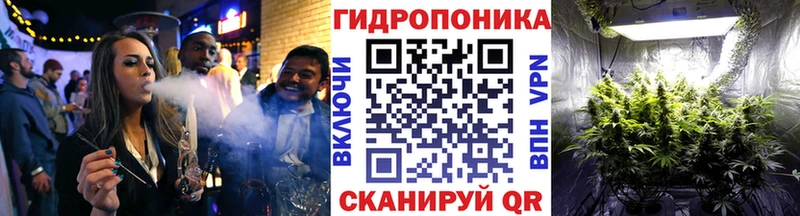 Где продают наркотики Чистополь Гашиш  Канабис  COCAIN  Галлюциногенные грибы  KRAKEN ссылка  Меф мяу мяу 