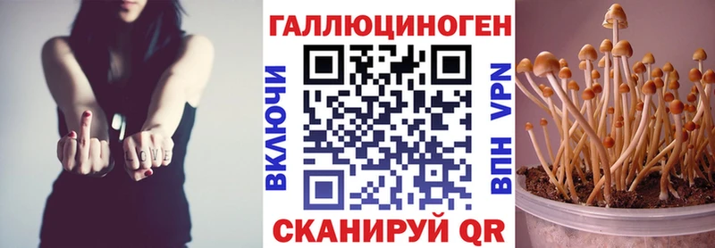 мориарти Telegram Чистополь Галлюциногенные грибы мицелий гидра ССЫЛКА