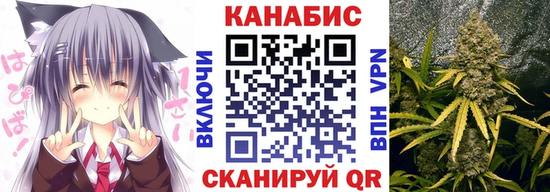 Бошки марихуана конопля  продажа наркотиков  Чистополь 